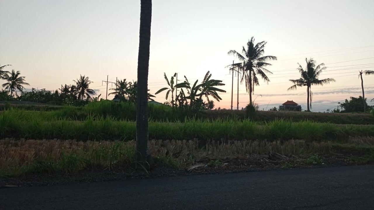 Neny'S Homestay Saba ภายนอก รูปภาพ